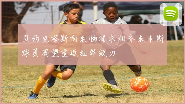 贝西克塔斯向利物浦求租齐米卡斯球员渴望重返红军效力